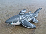 Triakis - Inflatable Leopard Shark by Buteo