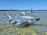 Triakis - Inflatable Leopard Shark by Buteo