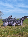 Triakis - Inflatable Leopard Shark by Buteo
