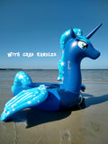 Reach for the Moon - inflatable pony float