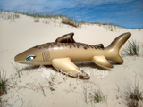 Tarni - Inflatable Sand Shark by Kittell Fox