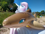 Tarni - Inflatable Sand Shark by Kittell Fox