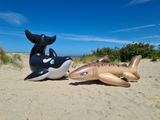 Tarni - Inflatable Sand Shark by Kittell Fox
