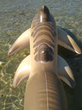 Tarni - Inflatable Sand Shark by Kittell Fox