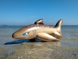 Tarni - Inflatable Sand Shark by Kittell Fox