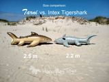 Tarni - Inflatable Sand Shark by Kittell Fox