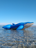 Classic 1990s inflatable blue whale ride-on
