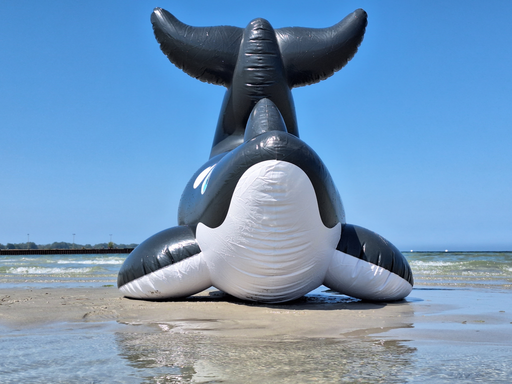 Orca Inflatable Kayak Inflatable Orca Whale by Dirty Bird – Horseplay Toys