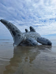 Triakis - Inflatable Leopard Shark by Buteo