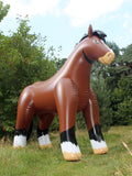 Inflatable Horse by Arin