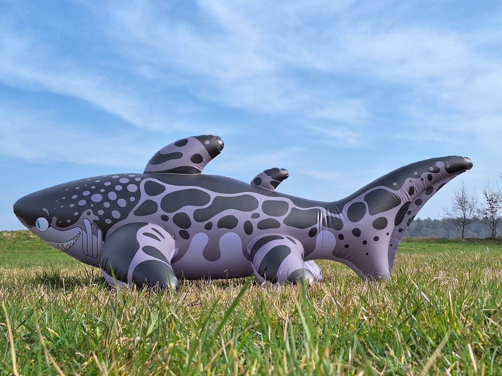 Triakis - Inflatable Leopard Shark by Buteo – Horseplay Toys