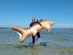 Tarni - Inflatable Sand Shark by Kittell Fox