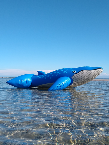 Classic 1990s inflatable blue whale ride-on