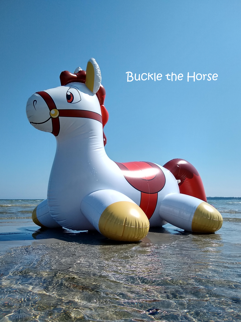Bouncy top animal toys