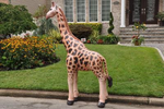 Vintage inflatable "lifelike" giraffe - 89" tall
