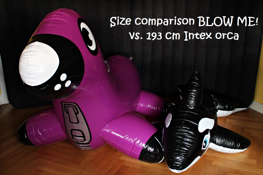 Inflatable 2024 sea lion