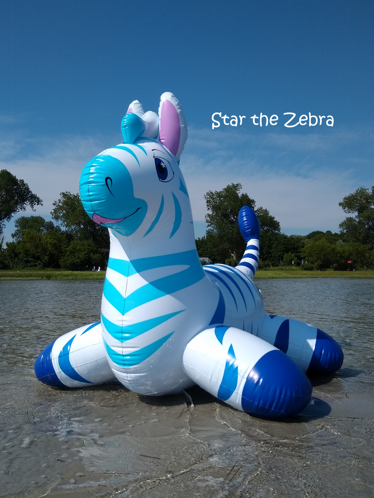 Horseplay toys top