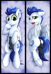Soarin by 10Art1 - classic daki or inflatable body pillow